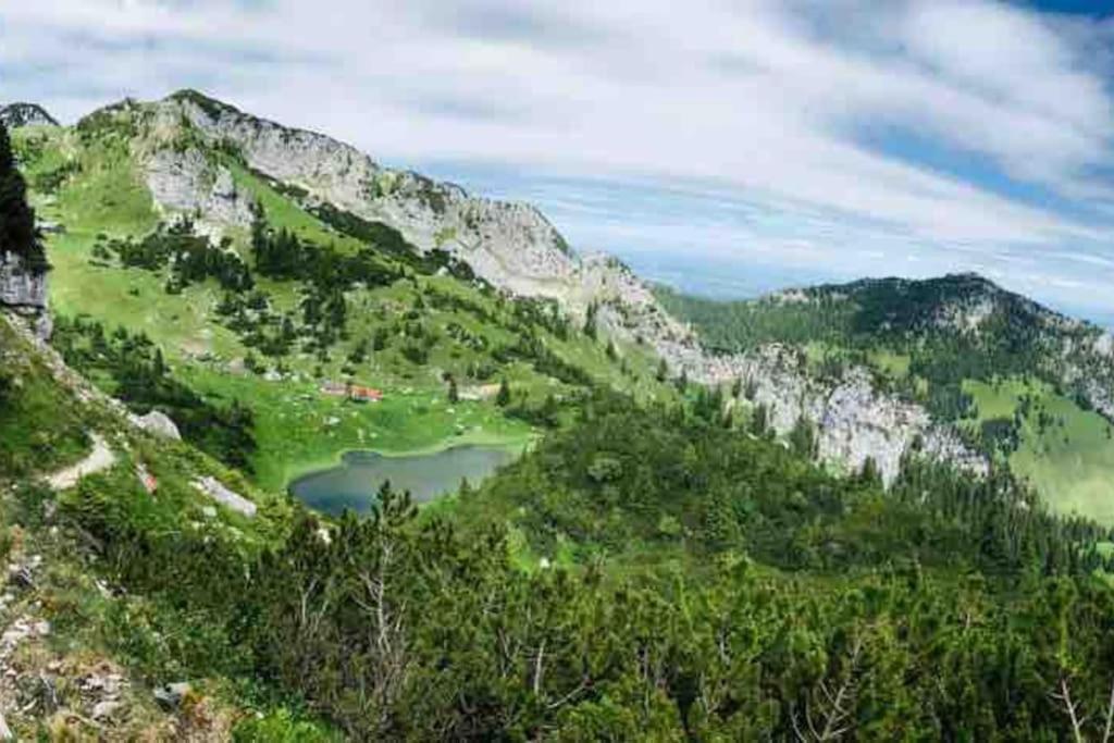 Topmodernes Studio - Sommer Im Bayerischen Inntal Brannenburg Zewnętrze zdjęcie