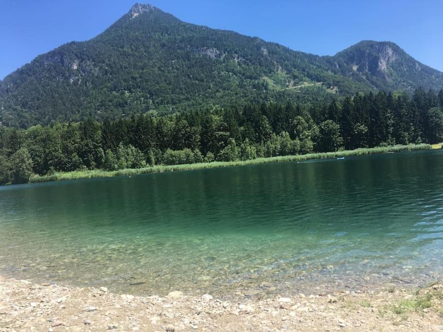Topmodernes Studio - Sommer Im Bayerischen Inntal Brannenburg Zewnętrze zdjęcie